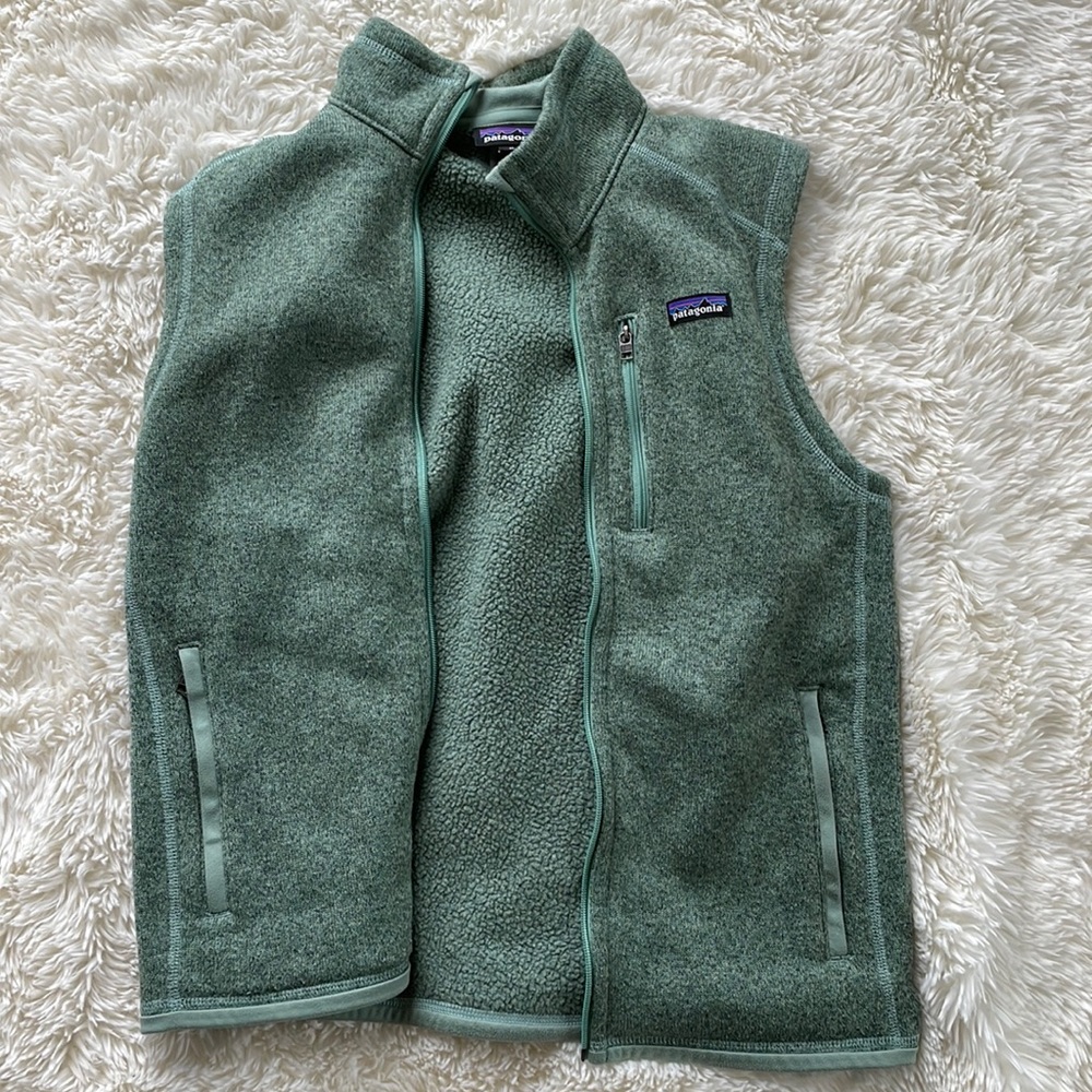 Mens Patagonia Fleece Vest